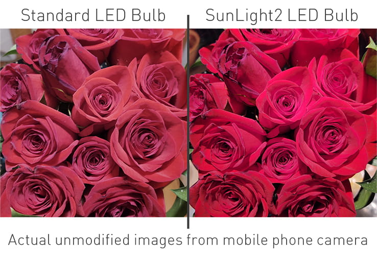SunLight2 vs Regular LED Bulb Color Rendering Comparison SunLight2 vs Regular LED Bulb Color Rendering Comparison